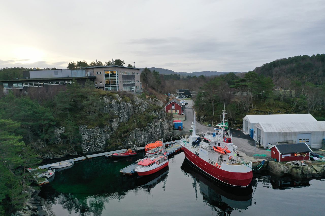 Bilde av skulen fra sjøsida